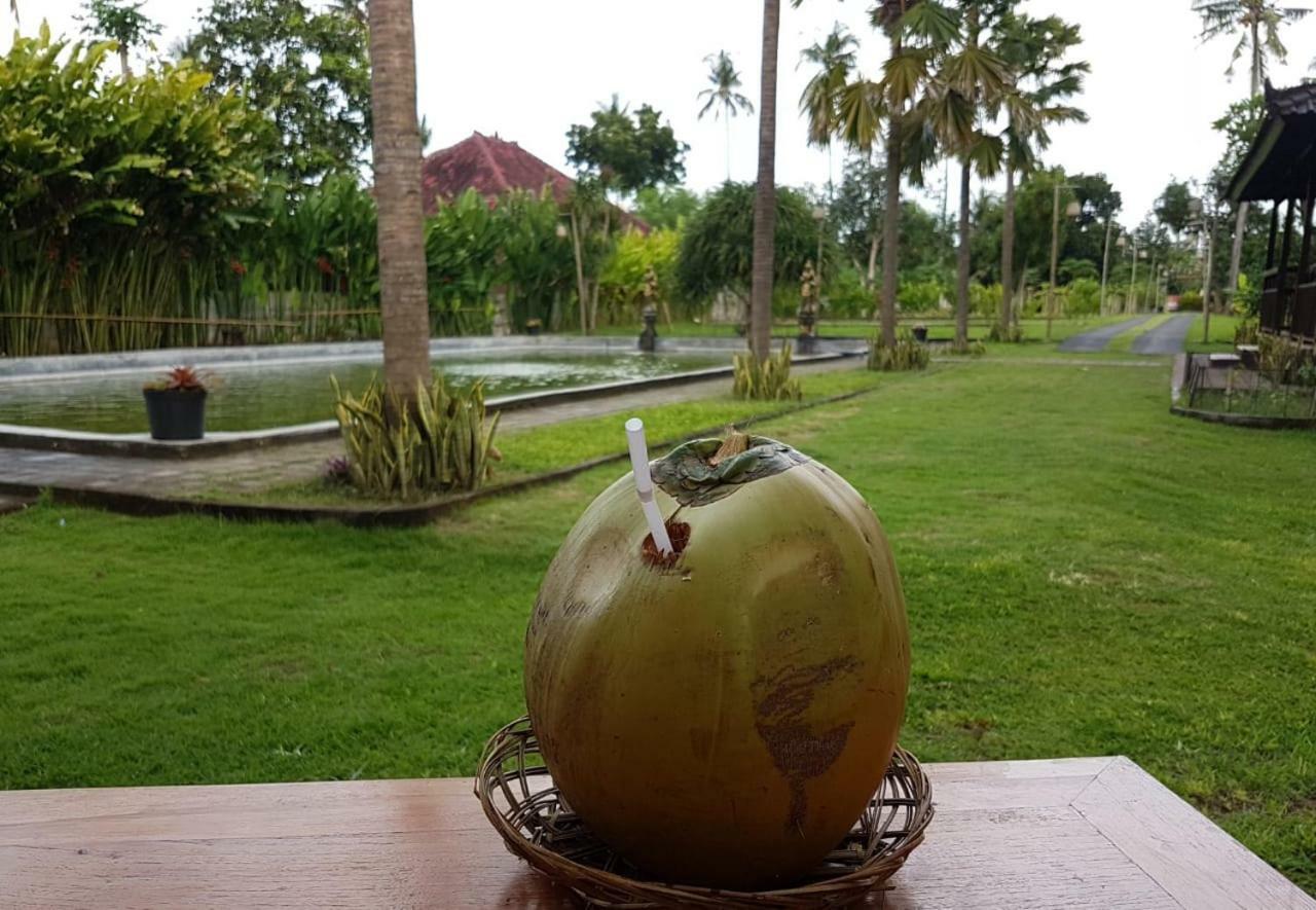 Buana Ecofarm Ecolodge Grokgak エクステリア 写真